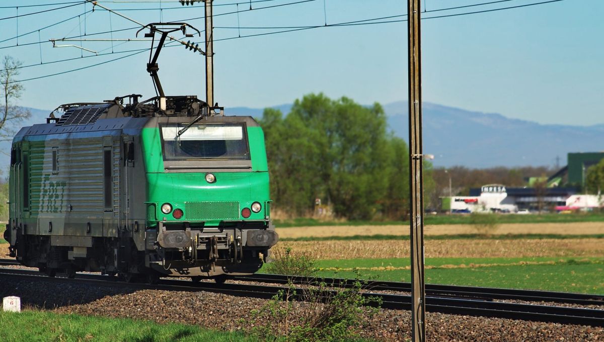 Train_des_primeurs_-_Image.jpeg