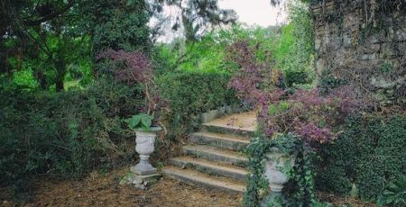 Jardin des Trav Lot