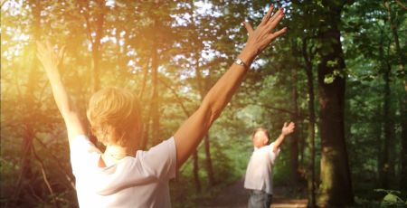 Sylvothérapie : quel est votre arbre protecteur ?
