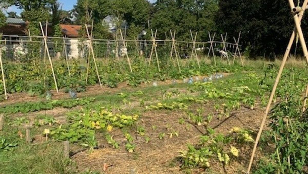 VILLE_FERTILE_2.jpg