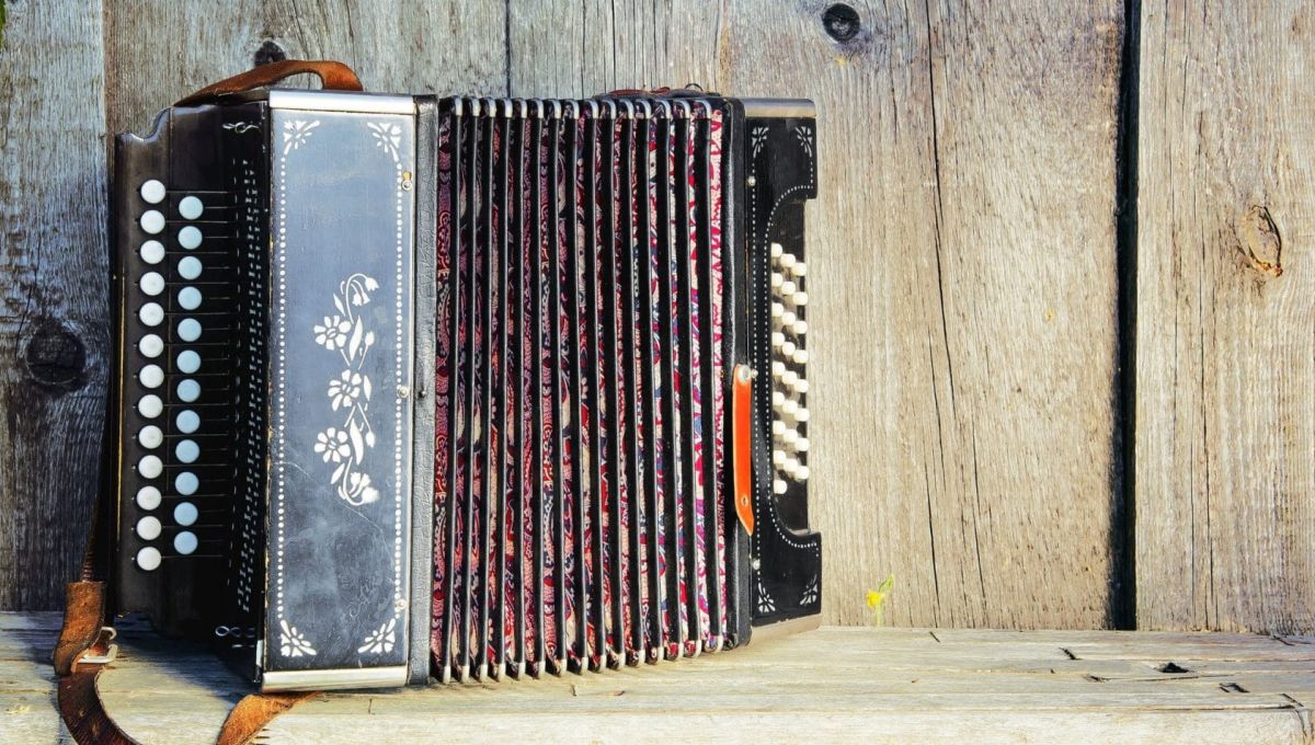 accordeon.jpeg