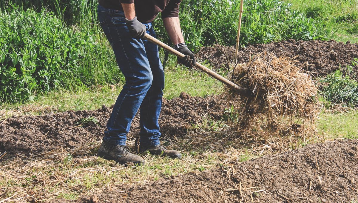 agroeco.jpg