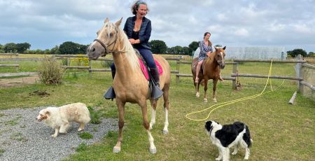 Anaik chevaux bretagne safran