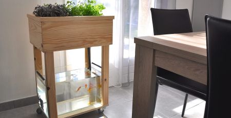 Faire pousser ses plantes et légumes grâce à l’aquaponie