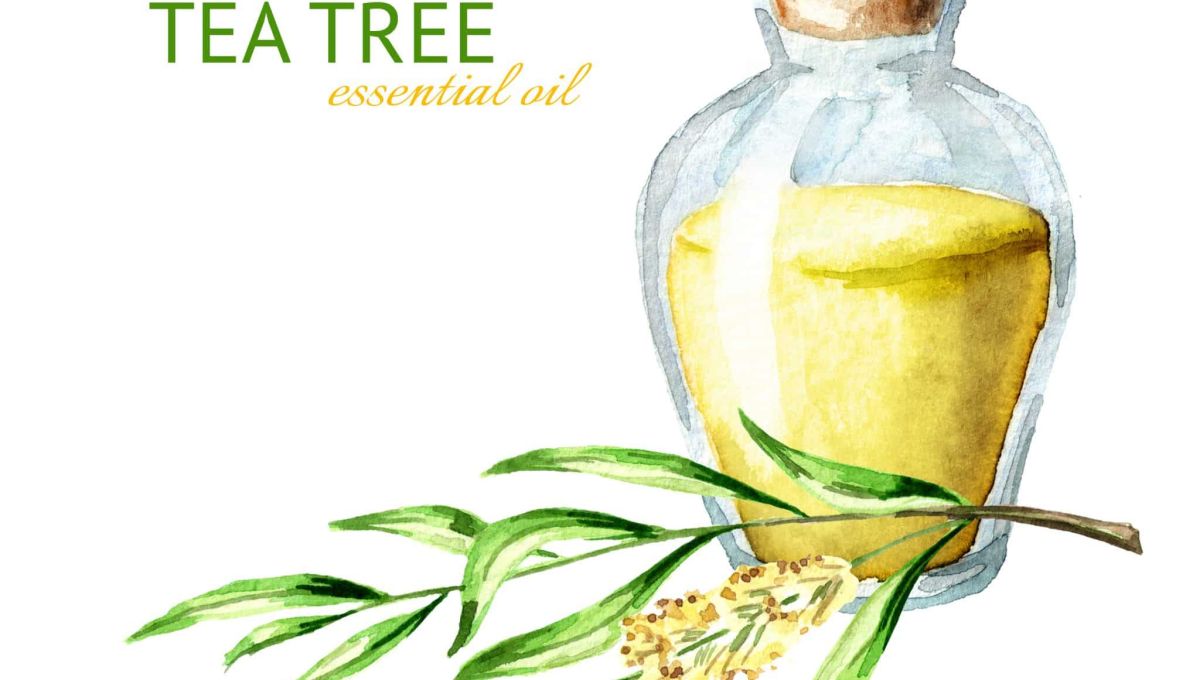 arbre_a_the_illustration.jpeg