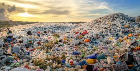 Comment réduire son empreinte plastique ? Découvrez le livre d’Hélène Seingier