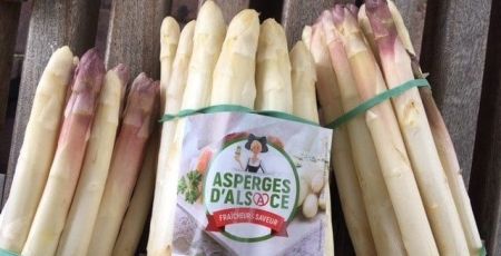 La saison des asperges d’Alsace démarre lentement mais surement