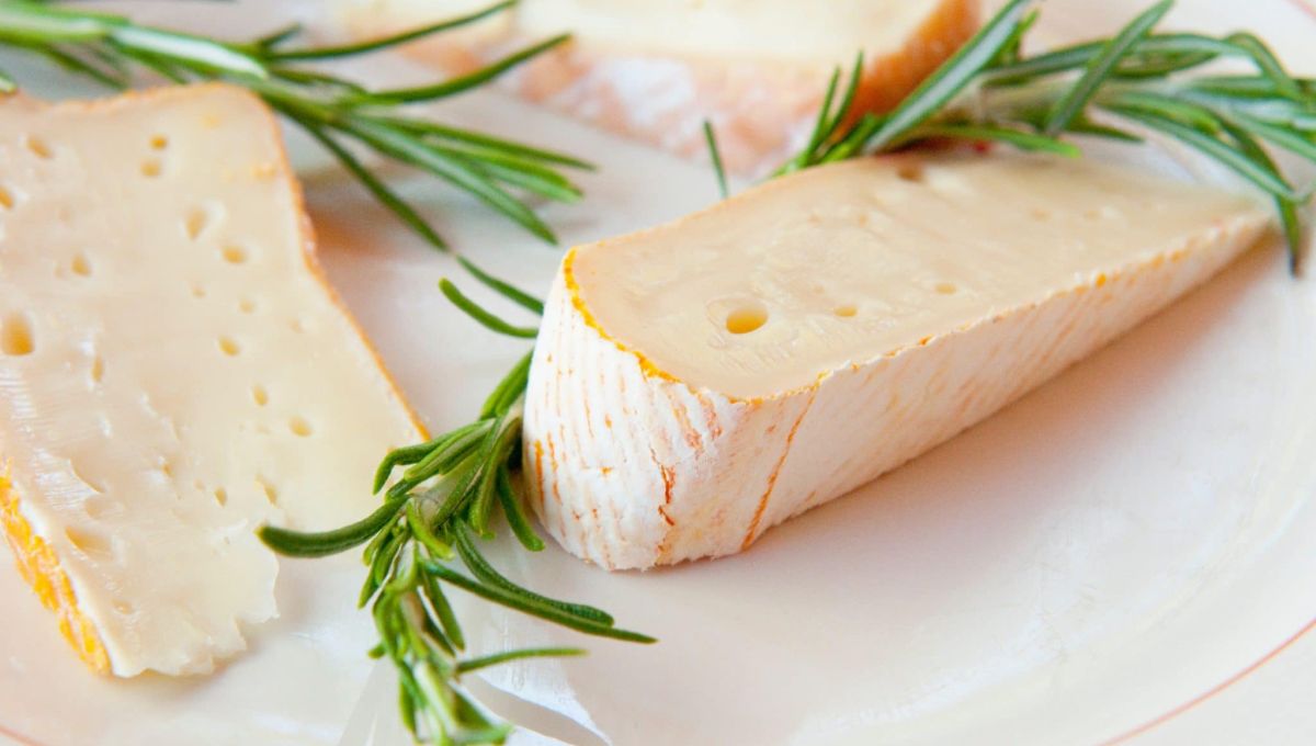 Assiette de fromages laiterie marseillaise