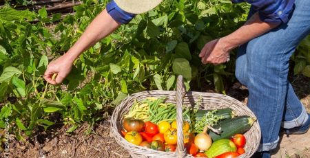 Annie Bertin, agricultrice pour chefs étoilés