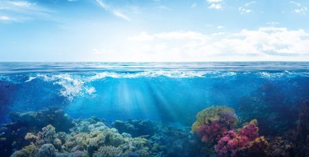 Mouillages écologiques : Temano redonne vie aux fonds marins
