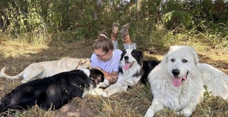 Bande de Chiens : un sanctuaire pas comme les autres