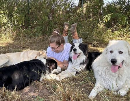 Bande de Chiens : un sanctuaire pas comme les autres