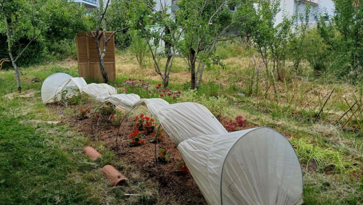 Le jardin de Mélissa Gouerec