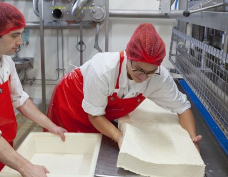 Besançon : L’ENILEA propose des formations d’excellence autour du fromage
