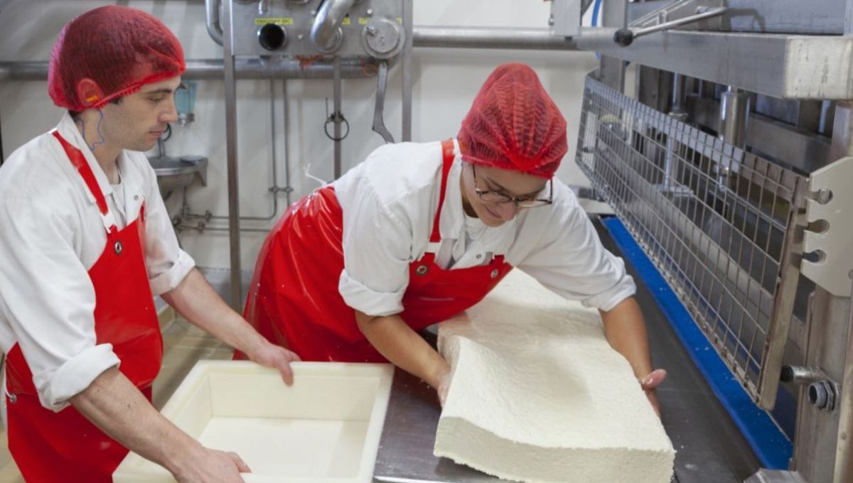 Besançon : L’ENILEA propose des formations d’excellence autour du fromage
