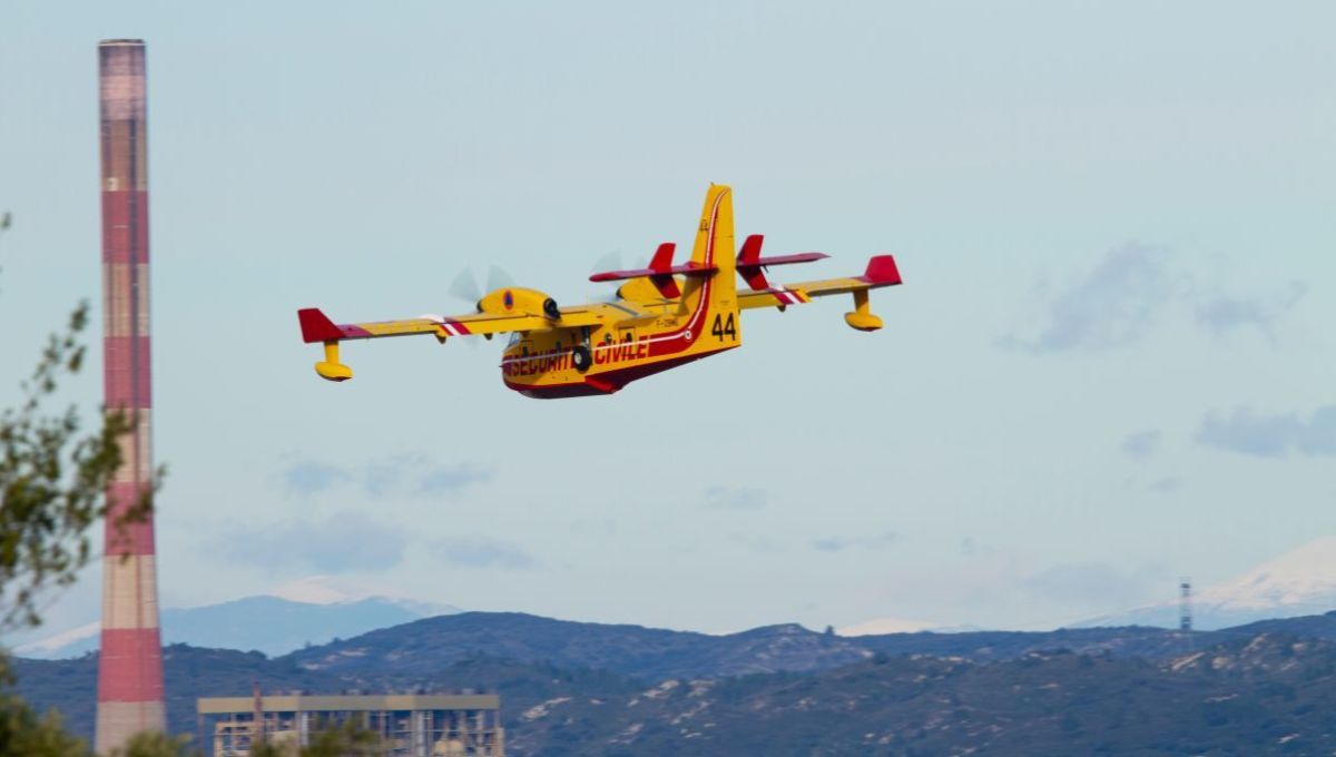 Un canadair survole un feu de forêt