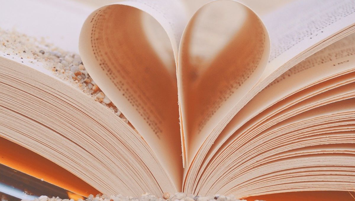 book-2115176_1280_licencePixabay.jpg