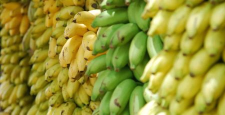 Bunches of Bananas
