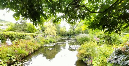 Bretagne : des roseaux pour assainir ses eaux usées