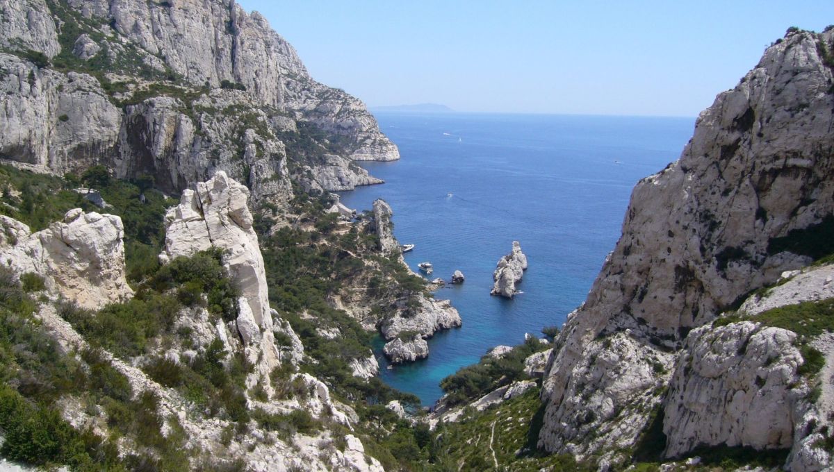 réservation calanque marseille
