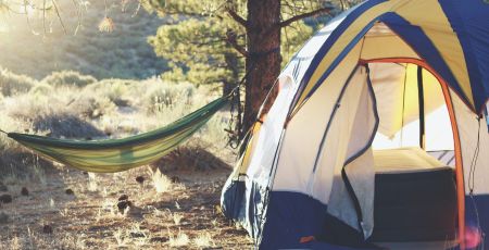 Campsite at golden hour
