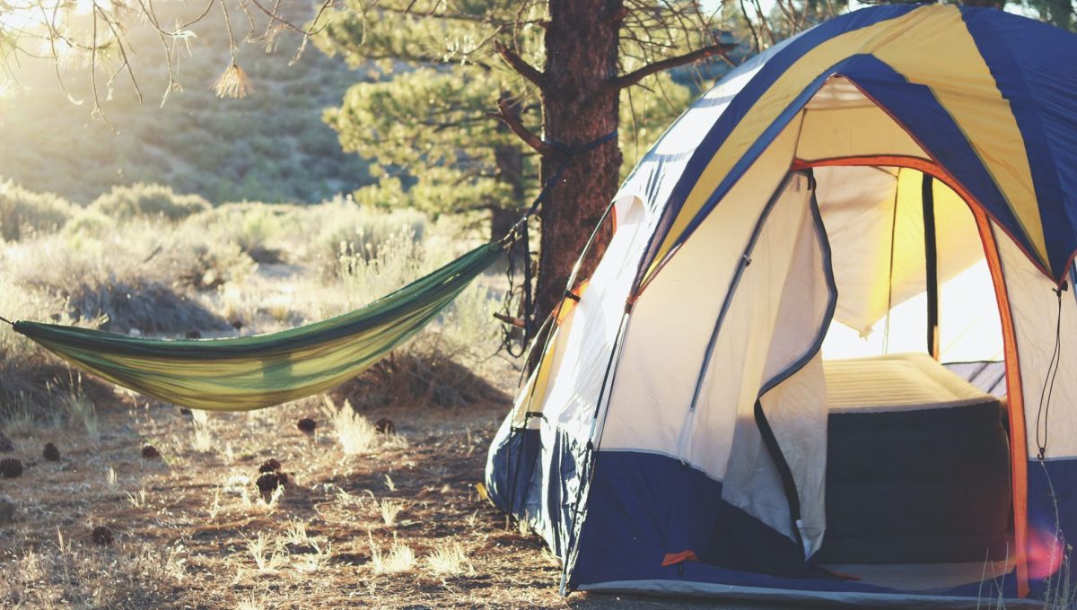 Campsite at golden hour