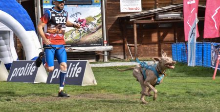 Mathieu est devenu champion du monde de canicross handisport
