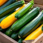 Courgettes vertes et jaunes
