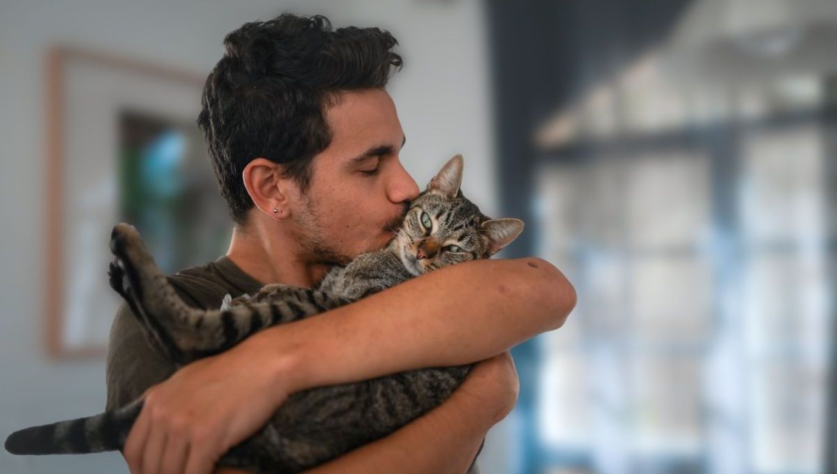 Homme et chat dans ses bras, il lui fait un bisous