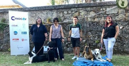 Cynocov CHU Bordeaux Covid chiens