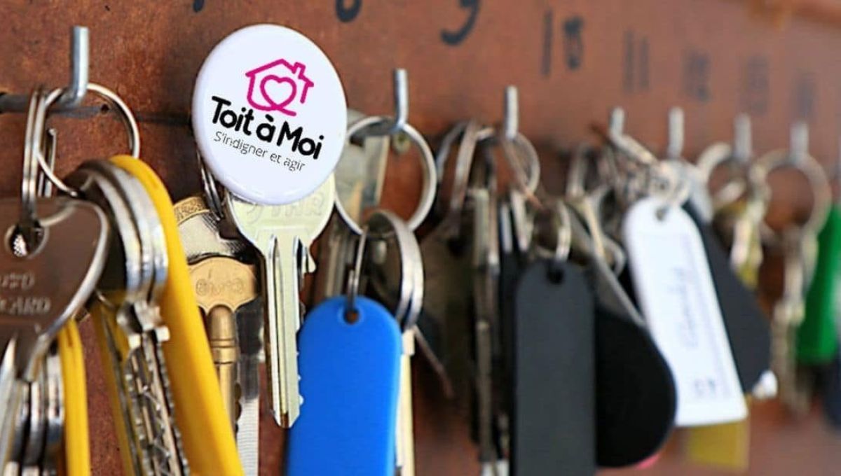 Toit à Moi, l’association qui aide les sans-abris à changer de vie