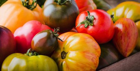 tomates