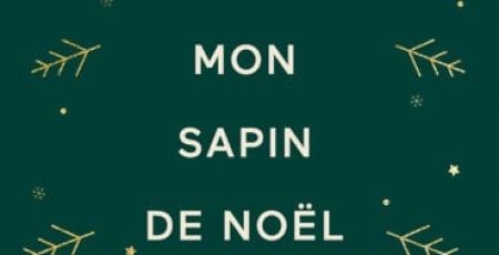comment_j_ai_mange_mon_sapin_de_Noel.jpg