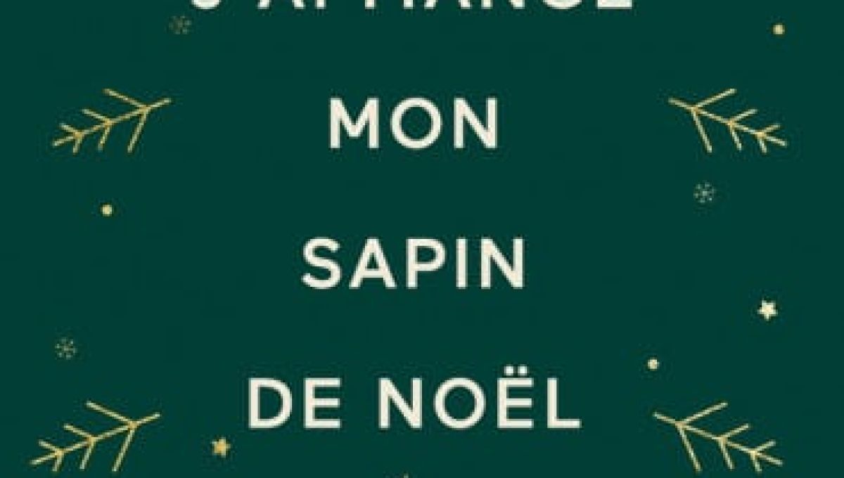 comment_j_ai_mange_mon_sapin_de_Noel.jpg