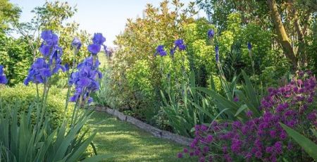 Jardin de Cyril - Maine-et-Loire