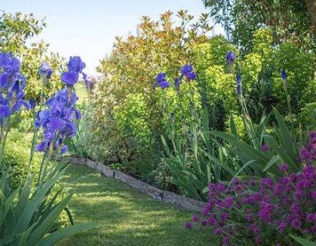 Jardin de Cyril - Maine-et-Loire