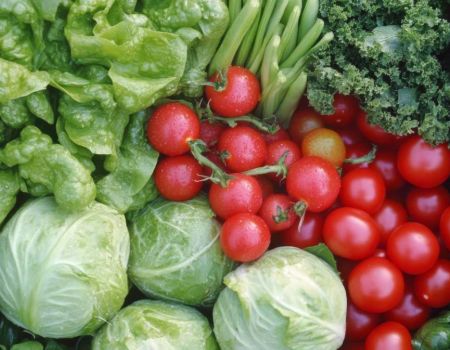Chou, salade, courgette, tomate - crédit photo : Almaz via Adobe Stock