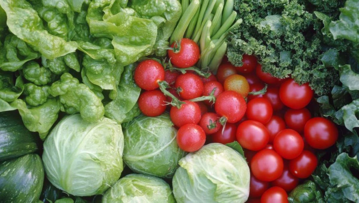 Chou, salade, courgette, tomate - crédit photo : Almaz via Adobe Stock