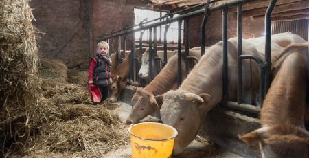 Gironde : au plus près des animaux au domaine d'Ecoline