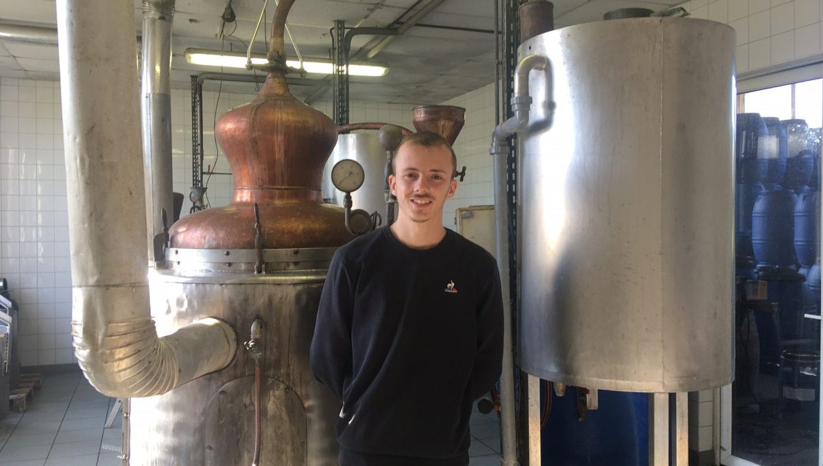 Les oreilles dans une distillerie artisanale alsacienne