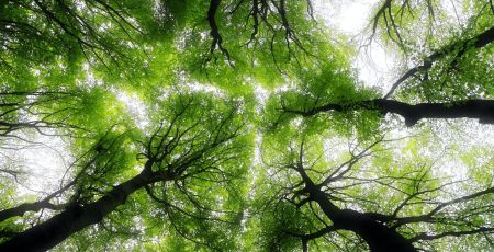 Mieux comprendre la crise écologique pour un monde plus durable