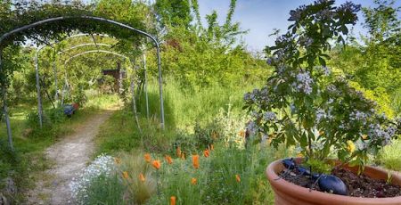 En Corrèze, le jardin de Thierry Lefèvre