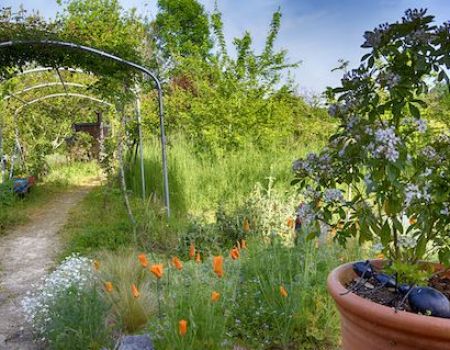 En Corrèze, le jardin de Thierry Lefèvre