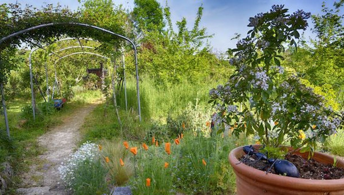 En Corrèze, le jardin de Thierry Lefèvre