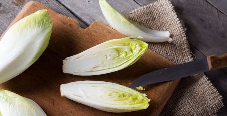 endives_cegli.jpeg
