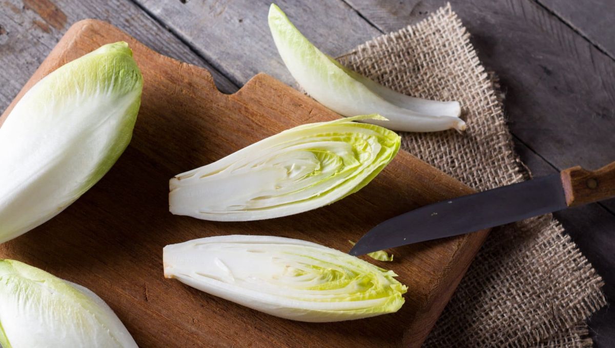 endives_cegli.jpeg