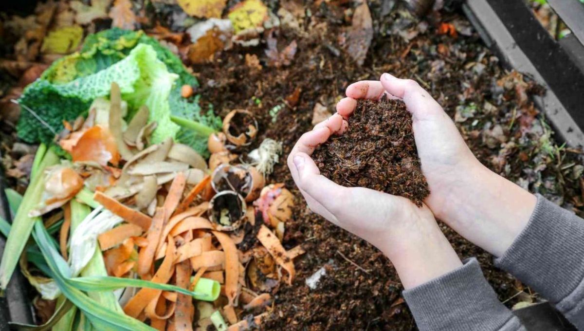 Ensemble pour nourrir les sols : c’est parti pour la 12ème édition de « Tous au Compost!»