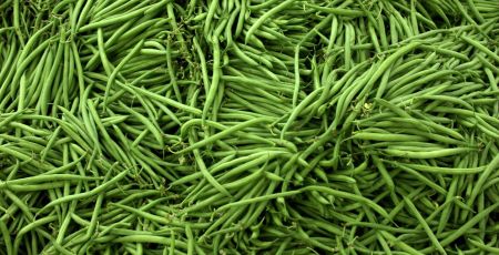 Etal d'haricots verts au marché