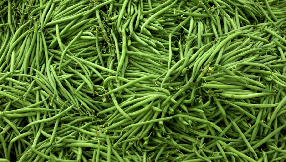 Etal d'haricots verts au marché