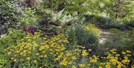 En Gironde, voyage en couleurs au jardin du Fond de l’Or